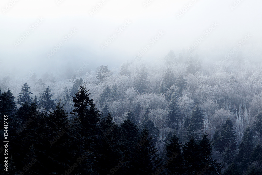 Obraz na płótnie Zimowy krajobraz Bieszczadów w salonie