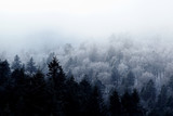 Fototapeta Do pokoju - Zimowy krajobraz Bieszczadów