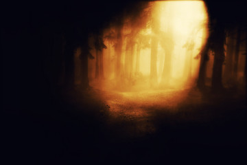 Wall Mural - night forest halloween background