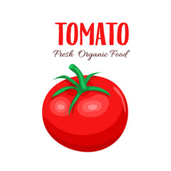 Wall Mural - Vector red tomato.