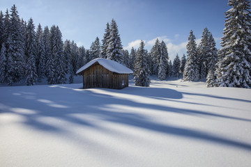 Wall Mural - Vorarlberg_Winter_0155