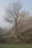 Fototapeta Sawanna - Lewes Castle in the Mist