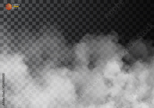 Cuadros en Lienzo Fog or smoke isolated transparent special effect.