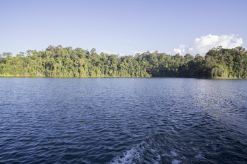 View of man-made lake of Royal Belum with nice green scenery and stumped wood.