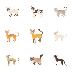  Furry friend icons set, cartoon style