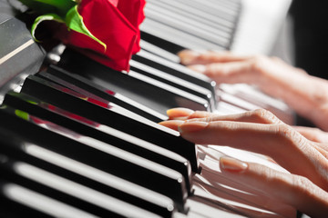 Wall Mural - red roses on piano keys