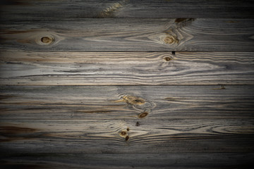 Wall Mural - Dark wooden background tree texture.