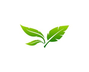 Leaf logo