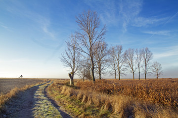 Footpath in the countryside