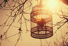 Heart Inside The Birdcage, Hanging On The Tree In The Spring Garden. Against Bright Sunlight. Vintage Background. Love/romance Concept.