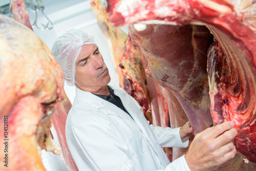 Cuadros en Lienzo Butcher looking at ribs on animal carcass