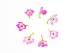 Fototapeta Motyle - Pink roses in the shape of the circle on white background