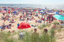 Beach Scene On A Busy Summer Day