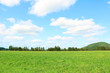 © DAWOOL - green field and blue sky
