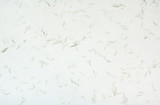 Korean paper texture Stock Photo