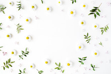 Frame Of Chamomiles, Branches, Leaves And Lilac Petals On White Background. Flat Lay, Top View