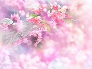 Wall Mural - Pink flowers soft style with vintage filter effect.
