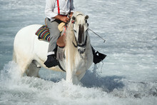 White Horse Running In The Ocean With A Rider