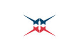 Fototapeta Miasta - star hexagon bussiness logo