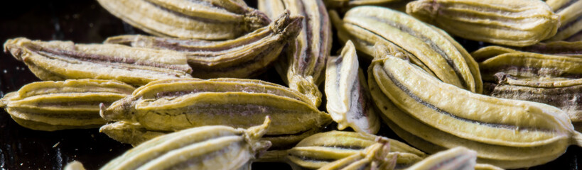 Wall Mural - Fennel seeds macro shot