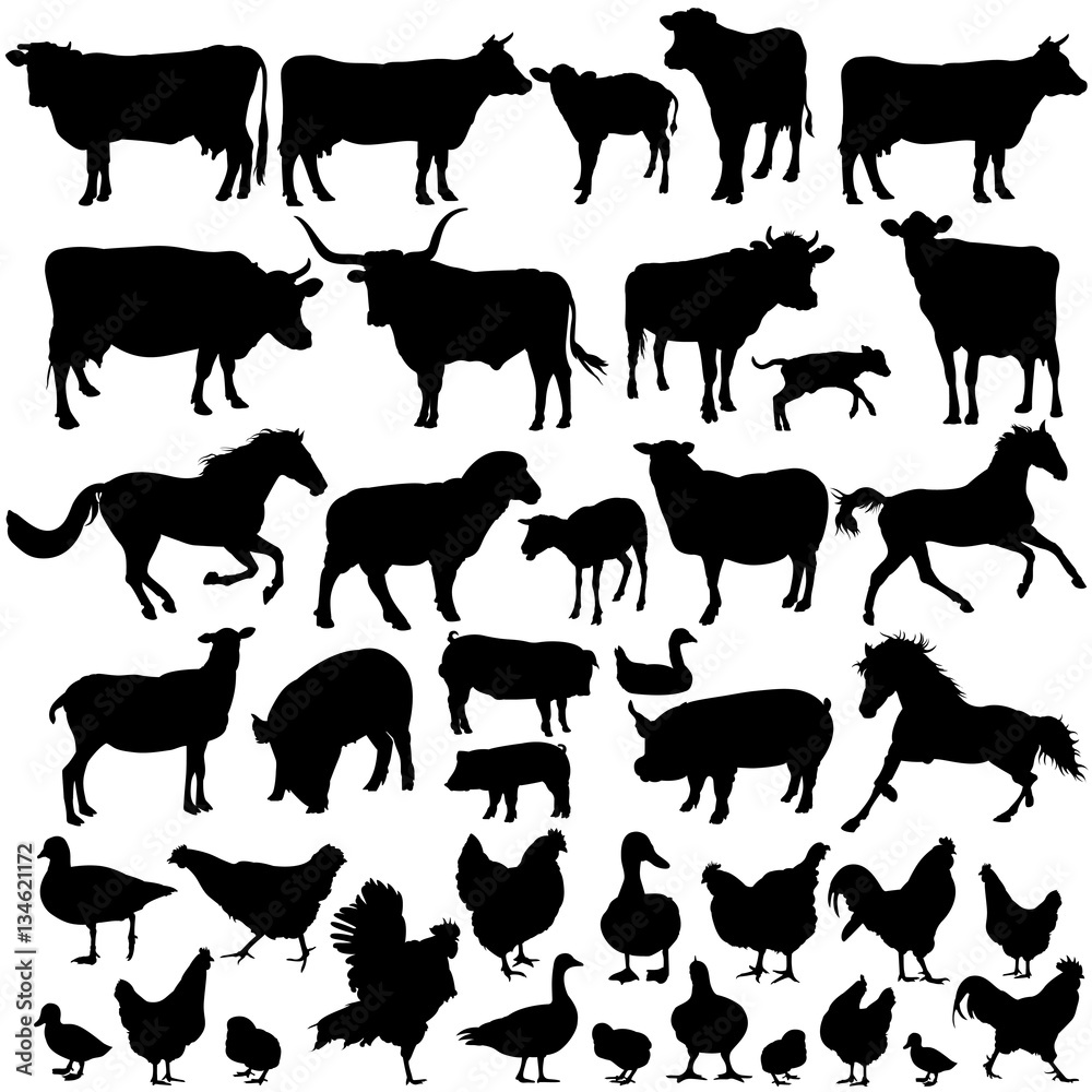 Vector silhouettes of farm animals Stock Vector | Adobe Stock