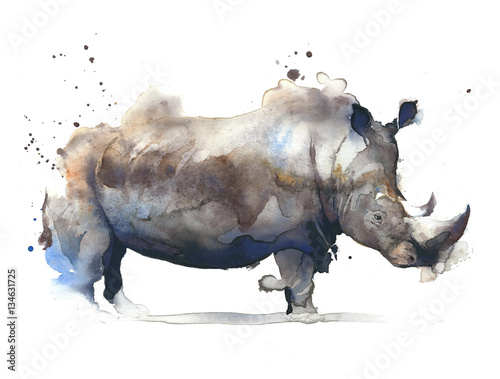 ilustracja-nosorozca-na-bialym-tle