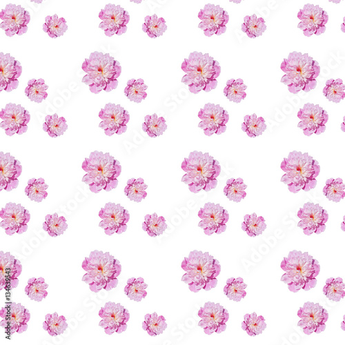 repeatable   pattern pale  pink peonies