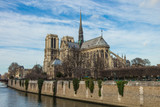 Fototapeta Paryż - Cathedral Notre Dame de Paris and Seine river in december , Paris, France
