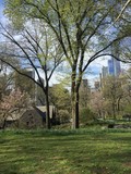 Fototapeta Kuchnia - New York City Central Park
