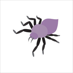 Wall Mural - Spider vector icon.