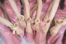 Close Up Of Hands Bridesmaid With Flower And Pink Dress