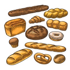 Wall Mural - Set bread. Vector color vintage engraving