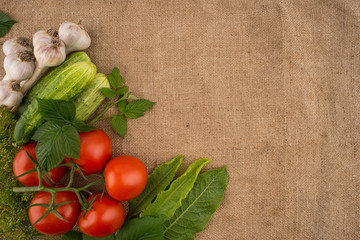 Cucumbers, tomatoes, garlic and dill on the background of old sa