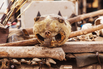 Akodessewa Fetish Market, the Voodoo Superstore
