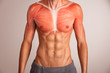 Human chest muscle.