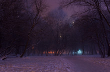 Foggy Winter Night In The Park. Majestic Silhouettes Of High Trees Covered In  Purple Mist And Orange Lights. A Downtrodden Path Leads Through The Snow To The Mysterious And Picturesque Park
