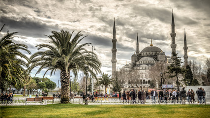 Wall Mural - Istanbul, Turkey - February 9, 2013: Blue Mosque (Sultanahmet Cami) in Sultanahmet, Istanbul, Turkey