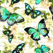 © zzorik - Flowers, butterflies, hand written text note. Watercolor. Seamless pattern