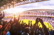 © checubus - Football- Soccer,a lot of fans  in full stadium celebrate goal. blurred.