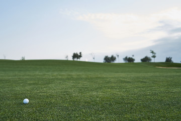  Golf ball on green grass in golf course