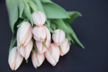 Wall Mural - Fresh pink tulip flowers bouquet