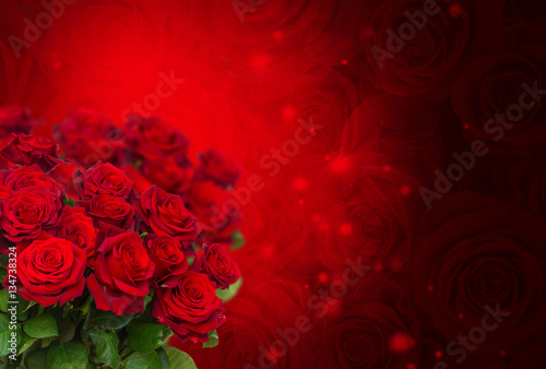 scarlet roses on dark red bokeh background with sparkles