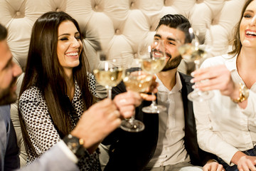 Wall Mural - Group of young friends toasting with white wine