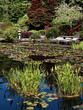 Japanese Garden at Shore Acres State Park