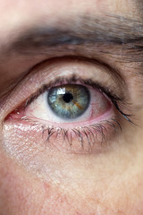 Macro view caucasian male eye looking at camera