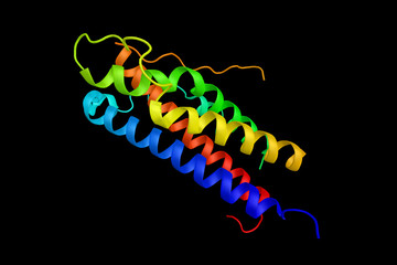 Sticker - Human placental lactogen, also called human chorionic somatomamm