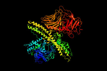 Wall Mural - Botulinum toxin (3d structure) which prevents the release of the