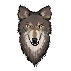 Wall Mural - Gray Wolf Head 