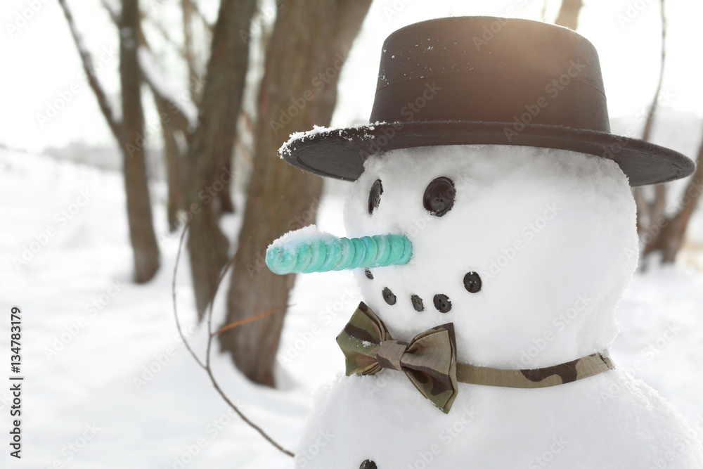 Christmas holiday concept. Funny snowman in wintertime