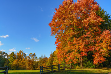 Wall Mural - Fall off The Blue Ridge Parkway